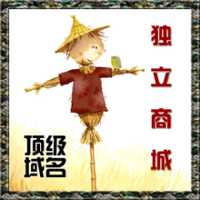 獨立商城網(wǎng)站設計的五個黃金原則