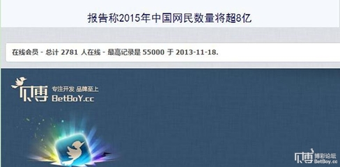 報(bào)告稱2015年中國網(wǎng)民數(shù)量將超8億